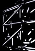 Proportional_227_vanderbeek_sara