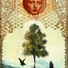 Cropped_68_hdegregorio_summerday10