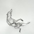 Cropped_68_kdevroomen_fallingdogi10