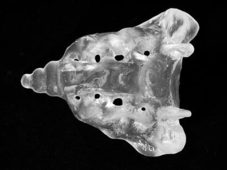 Proportional_227_smith-tail_779-43