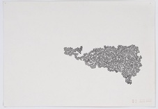 Proportional_227_bernardo_ortiz_4