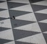 Proportional_68_13219_1299002611.original