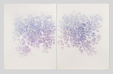 Proportional_227_wisteria_s_window