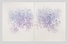 Proportional_68_wisteria_s_window