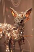 Proportional_227_deerdet_face