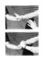 Proportional_68_gardar_large