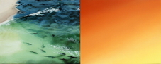 Proportional_227_b6d2ae09f1