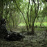 Cropped_68_whetstone_still
