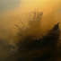 Cropped_68_414c1bc901