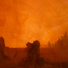 Cropped_68_a43cf3f83f