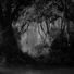 Cropped_68_105b