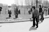 Proportional_167_untitled__39__265__email