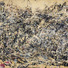 Cropped_68_46360