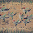 Cropped_68_gibson-exodus_of_birds-lo