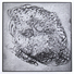 Cropped_68__526