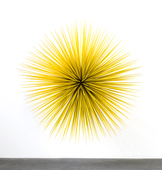 Proportional_227_wallflower1-front_view-800px