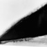 Cropped_68_serra_03.el