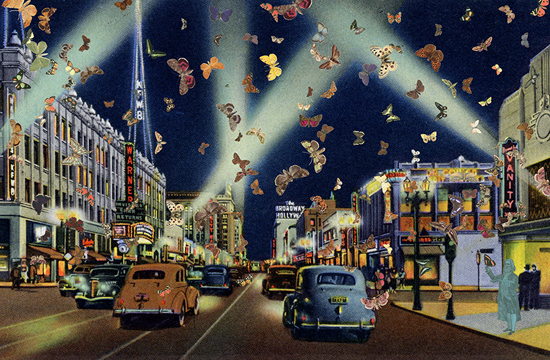 Proportional_710_0412_butterfly_man