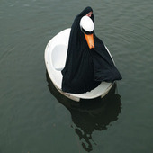 Proportional_227_swanrider1