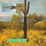 Cropped_68_cactus_flag_face