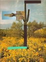 Proportional_167_cactus_flag_face