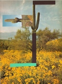 Proportional_227_cactus_flag_face
