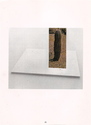 Proportional_167_presented_cactus