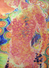 Proportional_68_000disco
