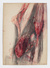 Proportional_68_46106-4mlq76