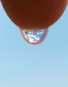 Proportional_167_jswa.0143