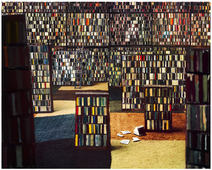 Proportional_227_neglected_book_with_border