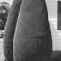 Cropped_68_wessel2