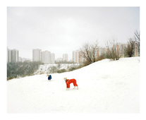 Proportional_227_630c25e217