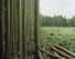 Proportional_68_5070cde73b