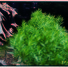 Cropped_68_ea76be8a4e