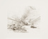 Proportional_68_mehretu_untitled_2006