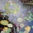 Cropped_68_je-301-botanical-garden-poo