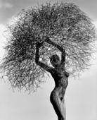 Proportional_227_neith_with_tumbleweed2