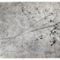 Cropped_68_med_brassai_graffiti-de-la-serie-v_animaux_1940-sf-1-jpg