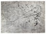 Proportional_68_med_brassai_graffiti-de-la-serie-v_animaux_1940-sf-1-jpg
