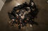 Proportional_68_abigail_deville_black_condesation_