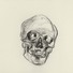Cropped_68_skull_2__charcoal_on_paper__30inx22.5in