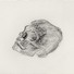 Cropped_68_skull_3__charcoal_on_paper__30inx22.5in