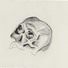 Cropped_68_skull_4__charcoal_on_paper__30inx22.5in