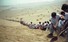 Proportional_68_image-11
