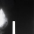 Cropped_68_03637