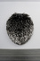 Proportional_68__ill4792-uz686c