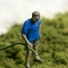 Cropped_68_work_3005