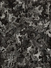 Proportional_68_gallleryjoe4