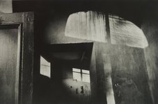 Proportional_227_dsc_6061